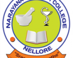 npc-teaching jobs