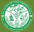ysr-teaching jobs