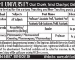 Abhilashi University