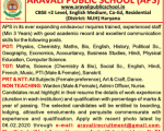 School Job Aravali