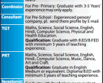 School job Ananda