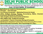 School job DPS Sakar