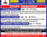 School JOB SMIC