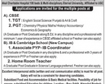 School Job Akal Academy