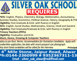 School job Silver Oak