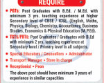 School teacher job 9