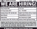 School teacher job 2020 9