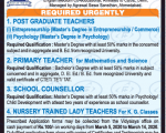 faculty plus School teacher 1