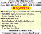faculty plus School teacher 17
