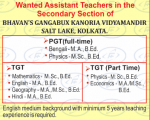 faculty plus School teacher 24