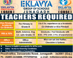 faculty plus School teacher 5