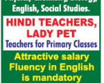 Sri Guruji Schol job