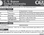 CV Ram University