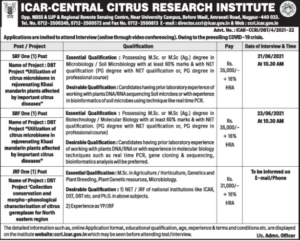 Icar-Central Citrus Research Institute, Nagpur Wanted Srf And Jrf -  Education In India