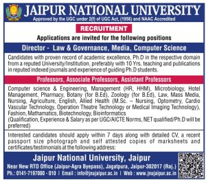 Jaipur visual data 8