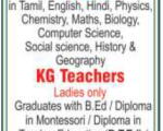 Raja Design Public School