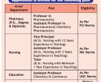 Smt Vidyawati Groups