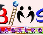 BIMS LOGO