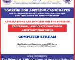 SNMV College