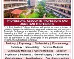 DY Patil University