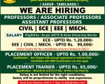 Faculty, Pacement officer