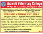 Arawali Veterinary College Faculty Recruitment 2026, Sikar