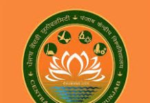 Research Assistant at Central University of Punjab, Bathinda
