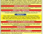 Accurate Education & Research Society Faculty Recruitment 2026, Greater Noida