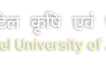 Assistant Professor Recruitment at SVP University of Agriculture & Technology, Meerut Assistant Professor Recruitment at SVP University of Agriculture & Technology, Meerut
