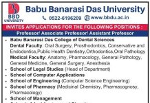 Babu Banarasi Das University, Lucknow – Teaching and Non-Teaching Faculty Recruitment
