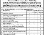 Mahala Veterinary College, Sikar, Rajasthan wanted Professor/ Associate Professor/ Assistant Professor