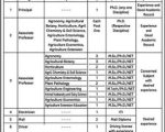 Nanabhau Embadwar College of Agriculture Yavatmal, Maharashtra wanted Teaching Faculty