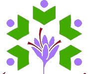 Associate Professor Recruitment Cluster University of Srinagar, Jammu and Kashmir