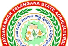 Graduate Teaching Assistant Recruitment Telangana Rythu Vignana Kendram, Rajanna Sircilla
